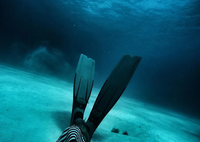 Lobo De Mar *