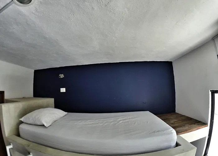 Lobo De Mar Hostel Playa del Carmen