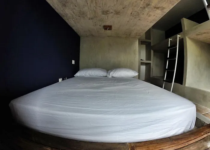 Lobo De Mar Hostel Playa del Carmen