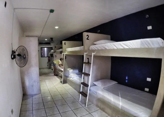 Hostel Lobo De Mar *