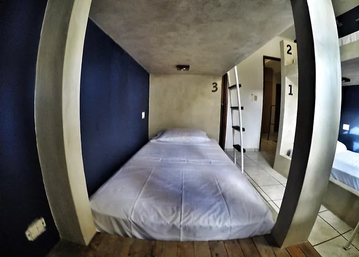 Lobo De Mar Hostel Playa del Carmen