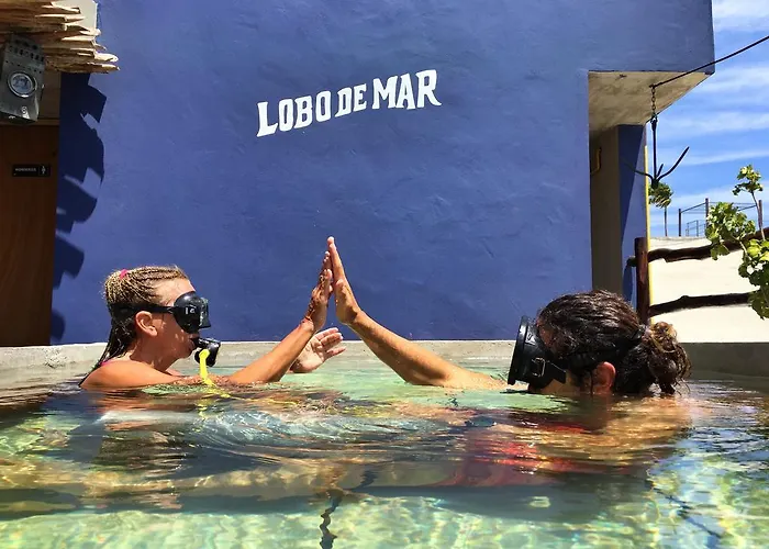 Lobo De Mar Playa del Carmen