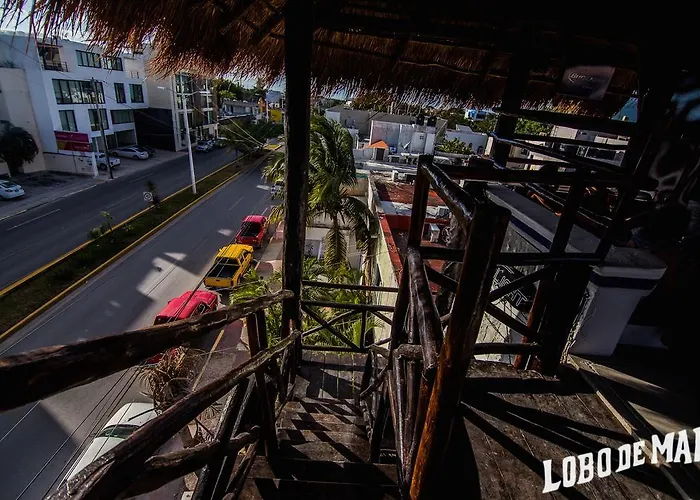 Lobo De Mar Hostel