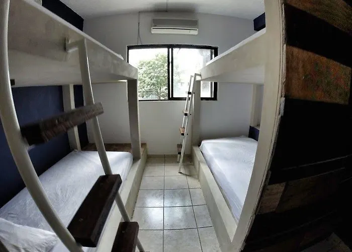 Hostel Lobo De Mar Playa del Carmen